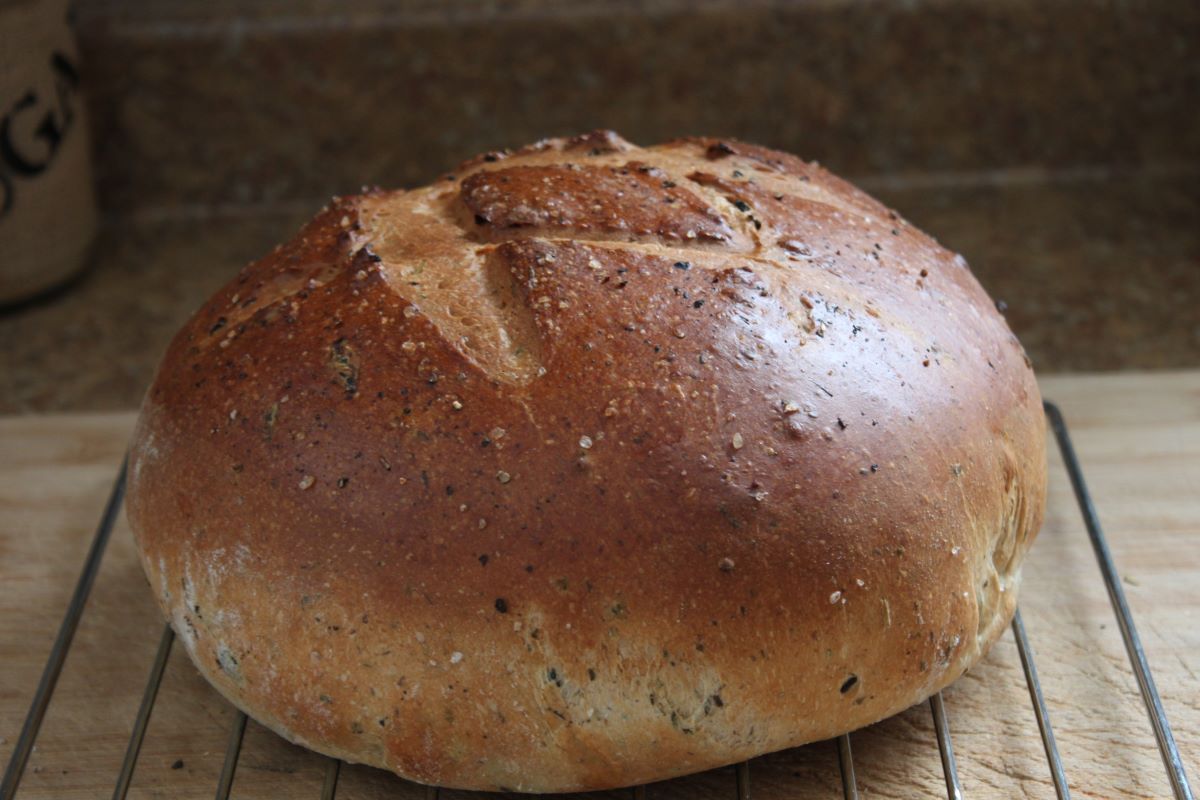 Name:  Olive bread 2.JPG
Views: 3143
Size:  118.8 KB