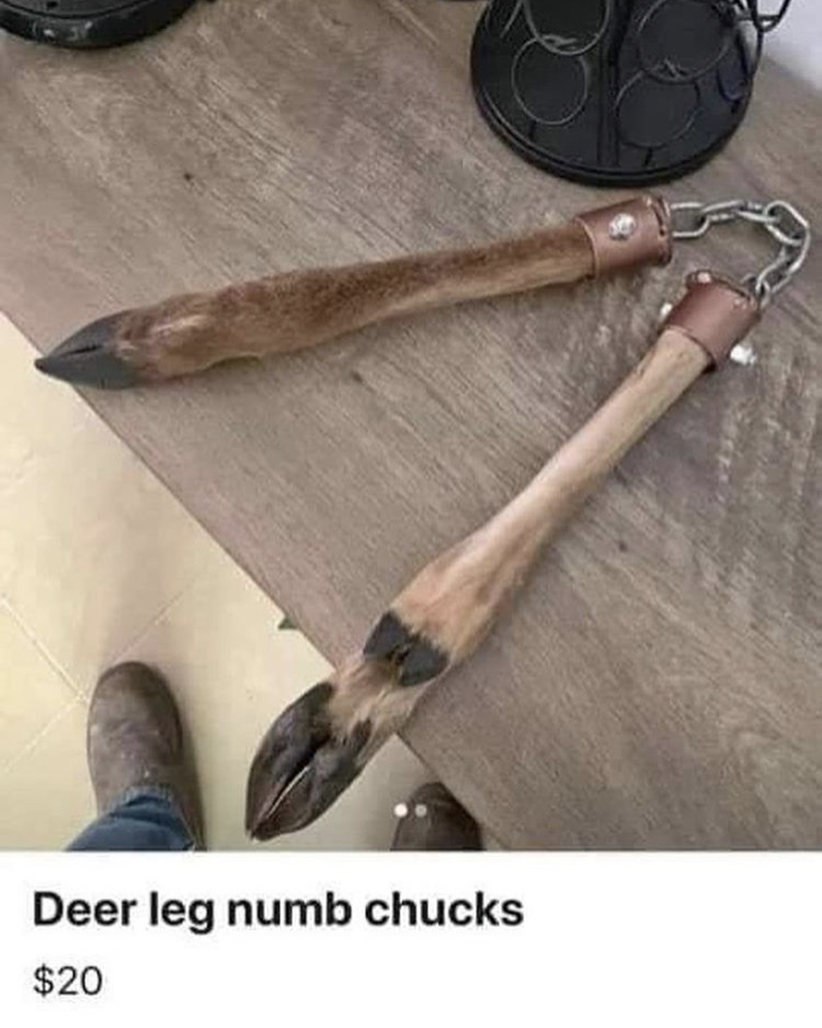 Name:  DEER.jpeg
Views: 1898
Size:  404.7 KB