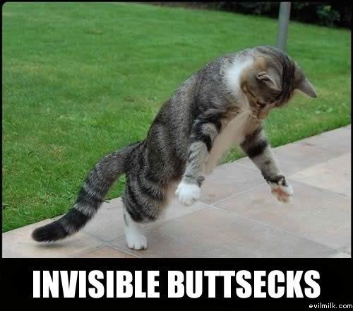 Name:  Invisible_buttsecks.jpg
Views: 23424
Size:  35.0 KB