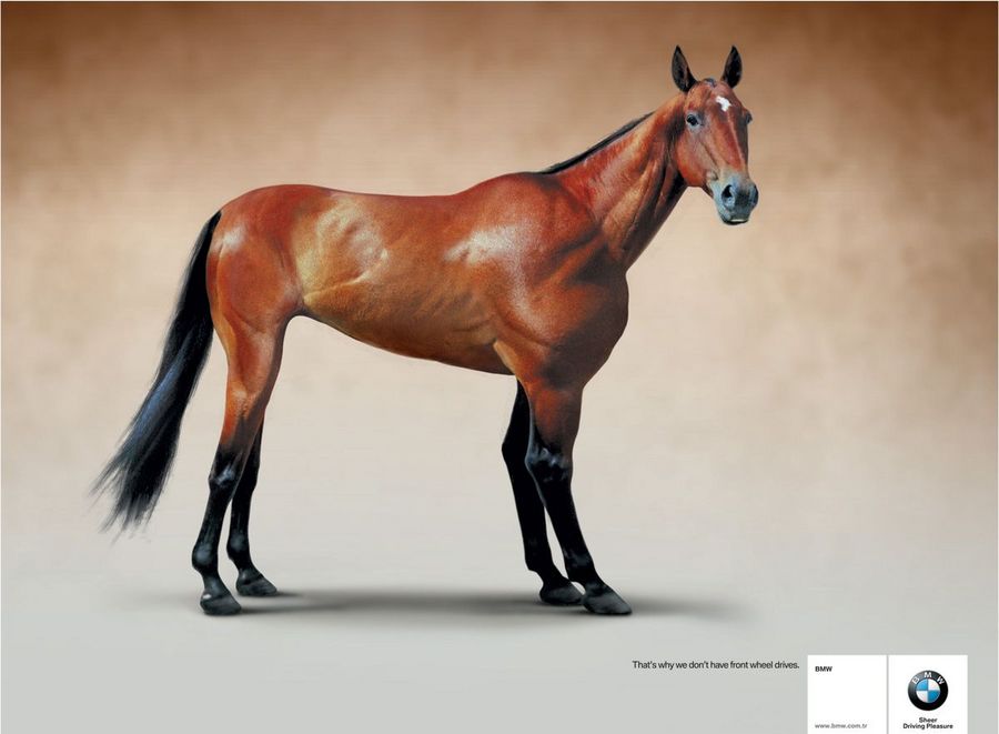 Name:  horse.jpg
Views: 5074
Size:  47.7 KB