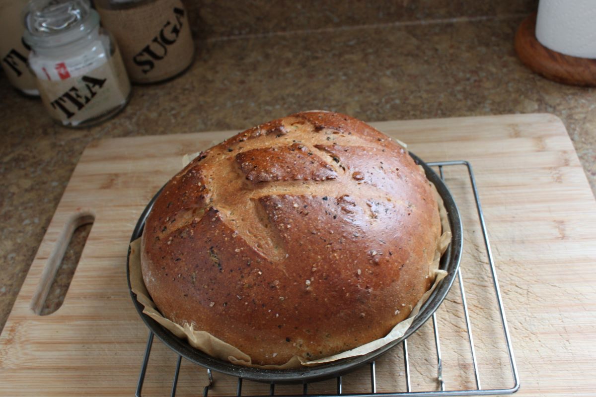 Name:  Olive bread 3.JPG
Views: 3095
Size:  130.0 KB