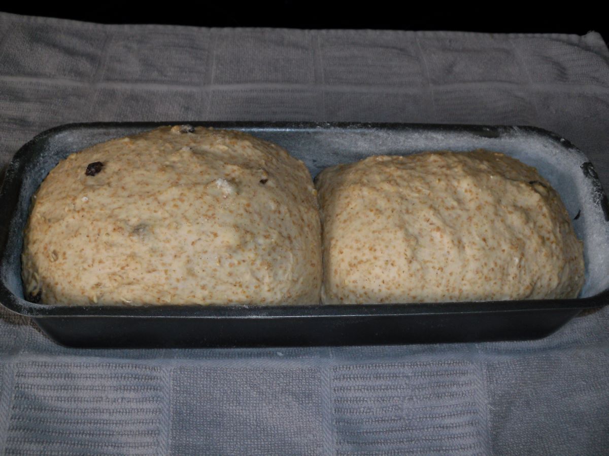 Name:  Bread.JPG
Views: 125
Size:  145.0 KB