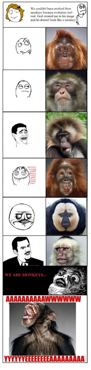 Name:  monkeys.jpg
Views: 1636
Size:  66.2 KB